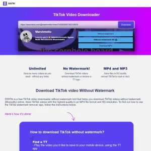 TikTok Downloader Source Code