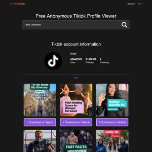 TikTok Profile Viewer Source Code